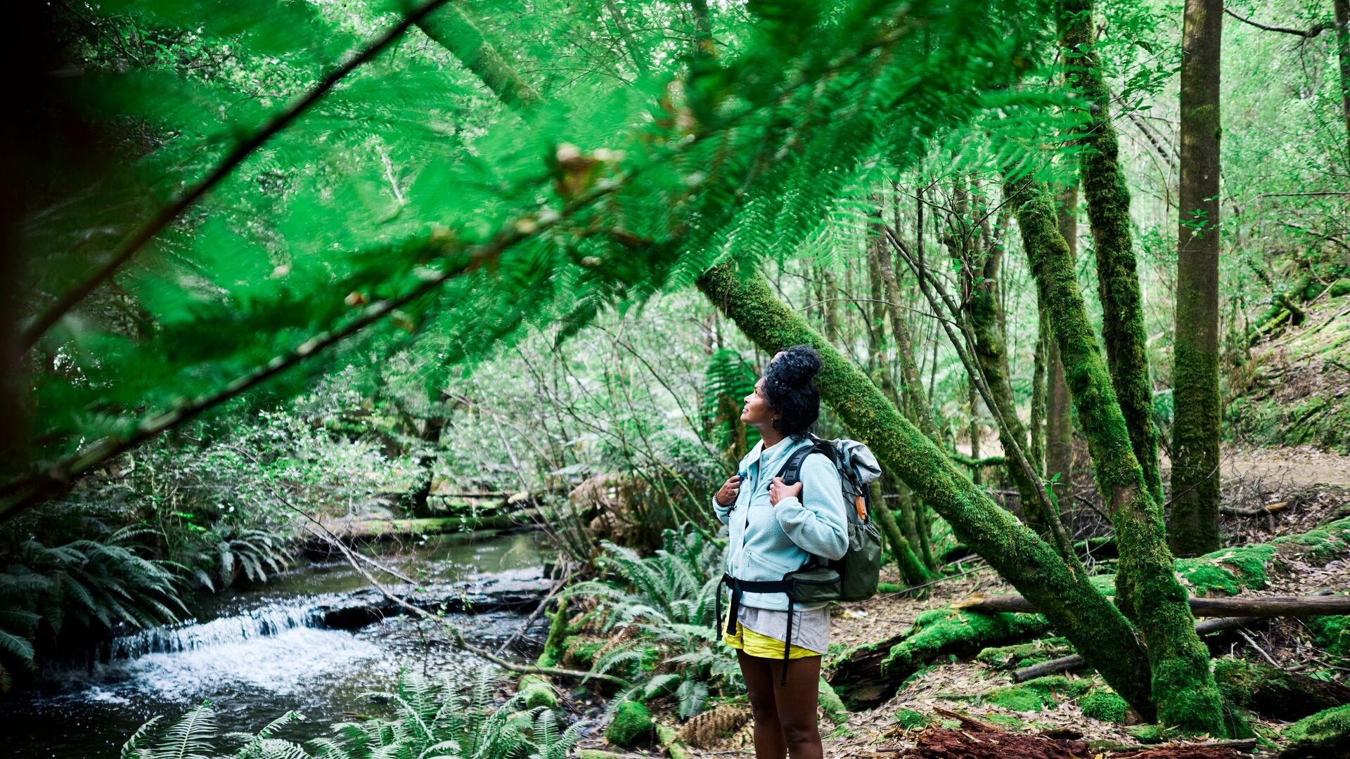 Finding Clarity Through Nature: The Path to Rediscovering Reality